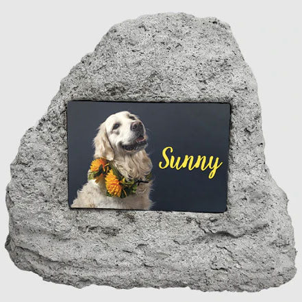 Pet cremation best sale rock urns